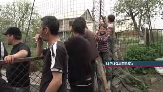 Գայլեր News.armeniatv.com