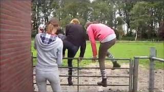 BestePaardenVriendinnen ~ Aflevering 5, Seizoen 1 ~ De Kettingzaag?