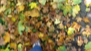 Rustling leaves