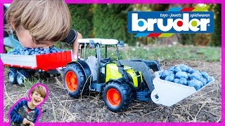 Bruder Tractors Harvesting Blueberries