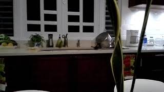 Corto temblor, Puerto Rico (descripcion)