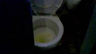Cheo orinando en su baño