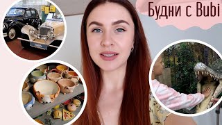 НУЖНО БЫЛО СДЕЛАТЬ ЭТО РАНЬШЕ КЕРАМИКА, РЕТРО АВТО И ПЕРВЫЕ ПОКУПКИ К НОВОМУ ГОДУ????