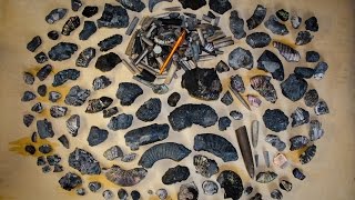 Пробный выезд на поиски окаменелостей Юрского периода