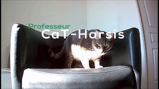 Professeur Cat-Harsis: Les Névroses!