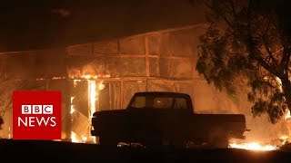 Santa Paula Fire: Thousands evacuated in southern California - BBC News