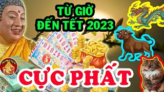 Thần Tài Mở Cửa Nghênh Đón 3 Con Giáp Phát Tài Đổi Đời Đại Gia Từ Nay Đến Tết 2023