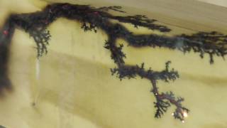 Декорирование дерева высоким напряжением - Decorating the tree high voltage