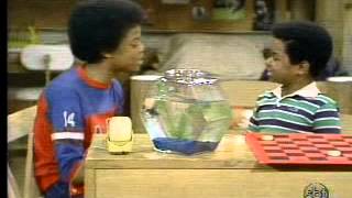 Arnold - O Dedo Duro 2x26