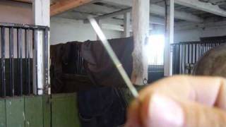 Sy knoppar