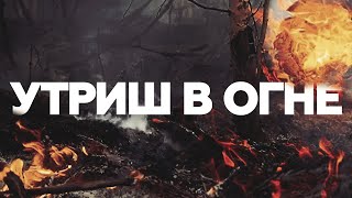 Трагедия реликтового леса: на Кубани возбуждено уголовное дело из-за пожара в заповеднике