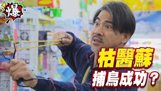 《多情大爆爆》多情城市 EP185 枯醫蘇 捕鳥成功？