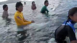 BIKINI GIRLS: ハワイサーフィン,アラモアナボウルズ,GO-NAMINORIセッション2012