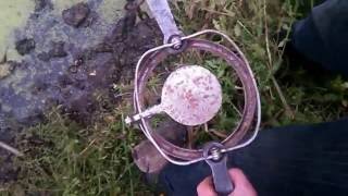 Установка капкана на бобра /.setting traps for beaver