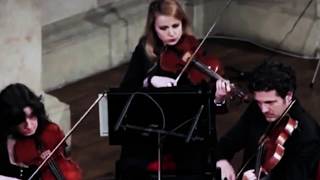 J S Bach Keyboard Concerto No .7 in G Minor, BWV 1058   I. -  Andrea Bacchetti