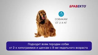 Бравекто. Свойства
