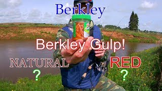 Черви Berkley Gulp!