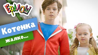 Ералаш Котенка жалко... (Выпуск №358)