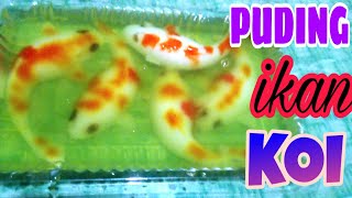 PUDING IKAN KOI #caramembuatpudingkoi