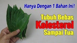 CUMA RUTIN REBUS INI, SAYA BEBAS DARI KETERGANTUNGAN aUBAT