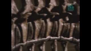 Paleoworld- Secrets Of The Brontosaurus
