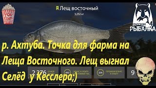 Русская Рыбалка 4. р. Ахтуба. Точка для фарма Леща Восточного.