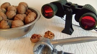 Грецкие орехи. Расколоть не проблема !!! Aliexpress.