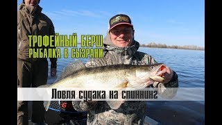 Ловля судака на спиннинг весной перед запретом. ТРОФЕЙНЫЙ БЕРШ на раттлин JACKALL TN70 TRIGON