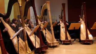AYHE plays "Preseli Skies"