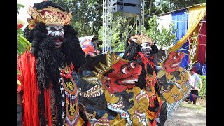 Jaranan Buto Sekar Arum Jajag Bulusari di Banyuwangi Bangorejo,Jelang Festival 2018