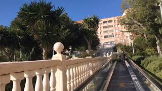 Benidorm , Park Censal , La Villa Joiosa 15.01.2020
