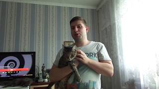Загадки для наших подписчиков