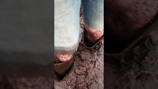 Gummistiefel im Moor, tief versenkt und stecken geblieben