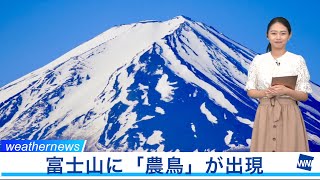 富士山に雪形の農鳥(のうとり)が出現
