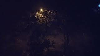 ЗАПОРОЖЬЕ СНОВА ПРИВЫКАТЬ ПРИЙДЕТЬСЯ 29.10.23