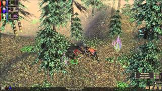 Dungeon Siege: Lands of Hyperborea - Part 50, Light And Dark