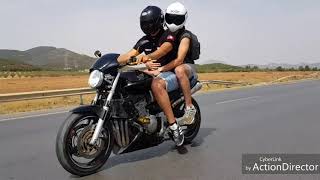 Wolf riders tunis