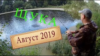 Ловим щуку на воблеры в августе 2019! Kosadaka Mirage не оставил без рыбы!