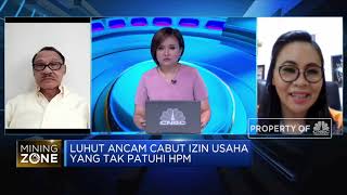 Pengusaha Tambang & Smelter Buka Suara Soal Dilema HPM Nikel