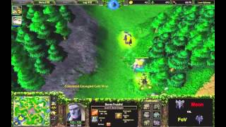 Warcraft Top 100 - Platz 23: (N) Moon vs. FoV (U)