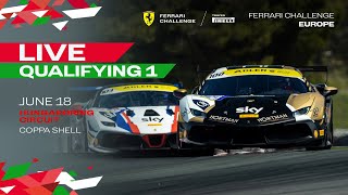 Ferrari Challenge Europe - Coppa Shell - Hungaroring, Qualifying 1
