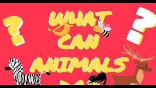 What Can Animals Do?