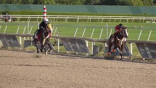 CY gate breeze nov 2