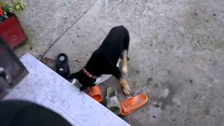 HTC One X замедленное видео-штатная камера