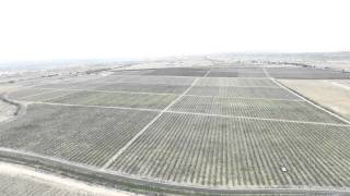 Интенсивное садоводство в Южном Казахстане. Green-Land