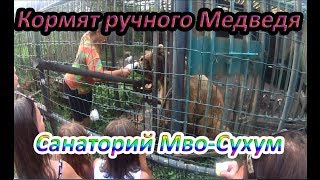 Стоит ли ехать в Абхазию? / Сухум санаторий МВО / медведь