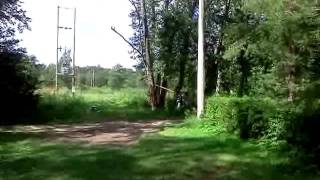 валим сухостой