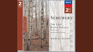 Schubert: Piano Sonata No.20 in A, D.959 - 2. Andantino