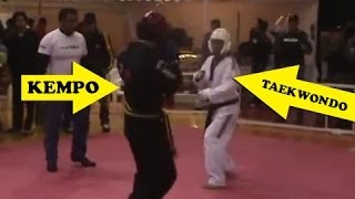 Kenpo vs Taekwondo - REAL FIGHT 2014 KO