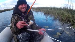 Одни в Усть-Бельске.Рыбалка на Каме.